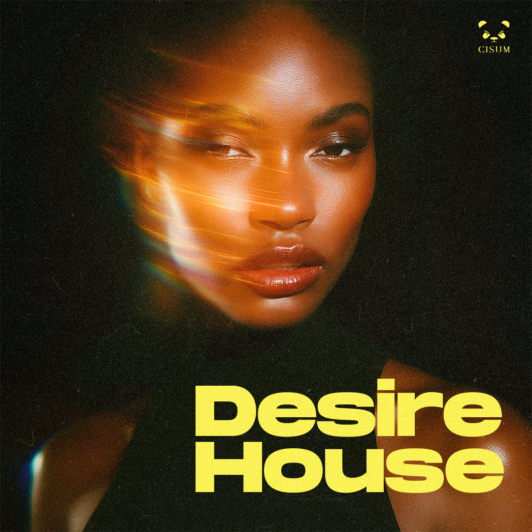 レコードセット 事後 Desire house disco trance セット Desire House – Studio Tronnic