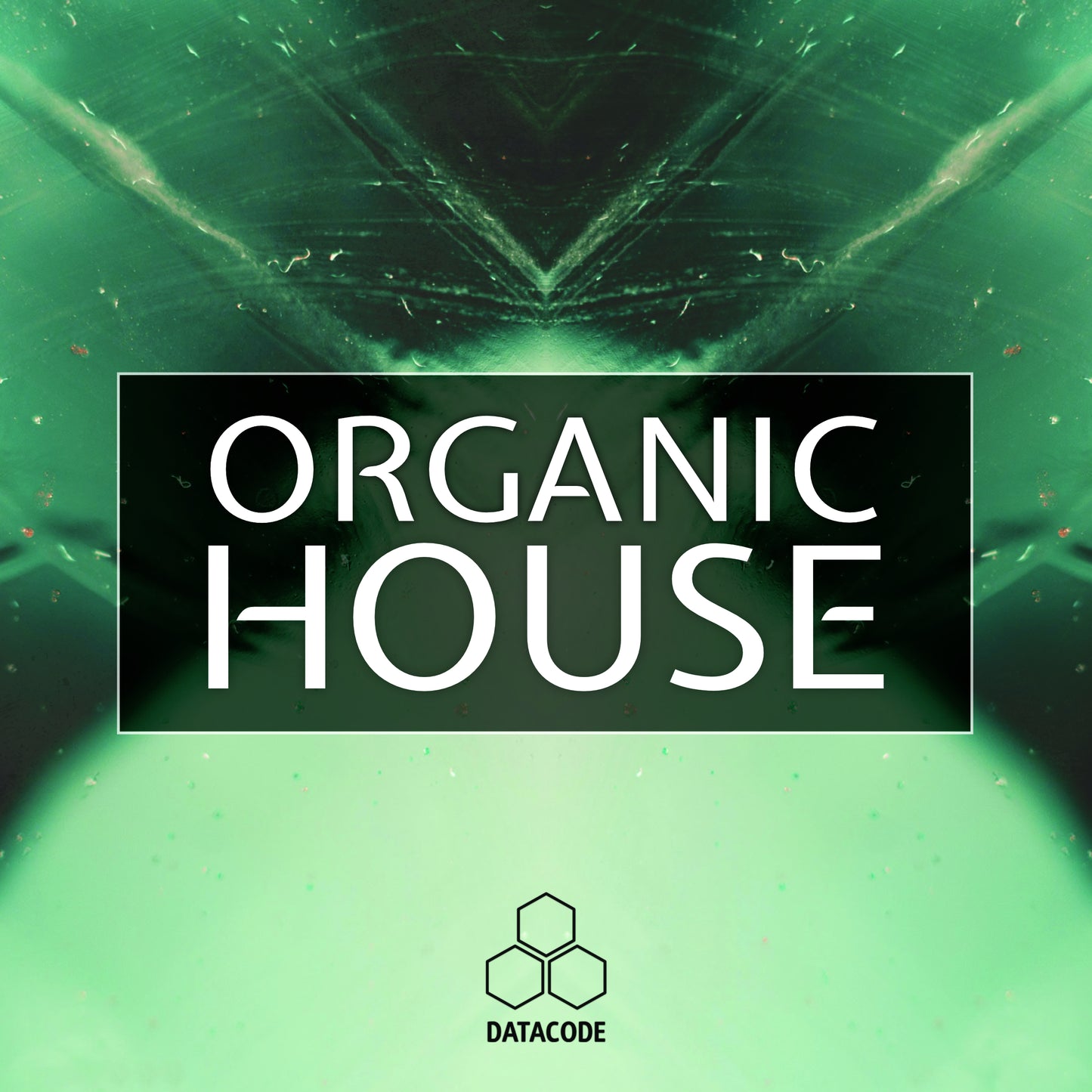 FOCUS: Organic House