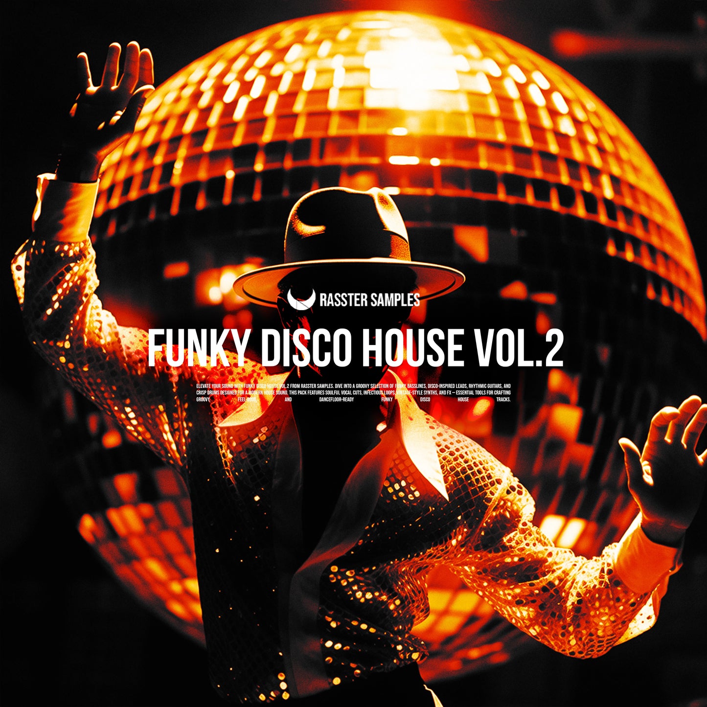 Funky Disco House Vol. 2